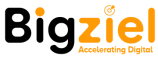 bigziel logo