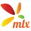 mlx-store logo